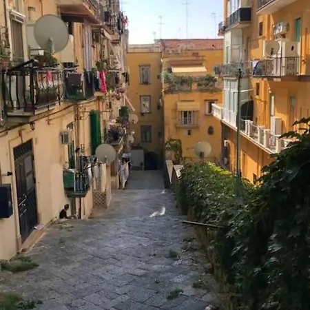شقة House Vetriera *